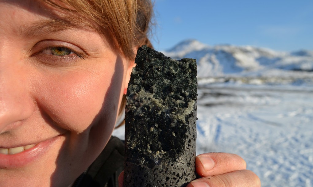 Icelandic power plant transforms carbon emissions into stone