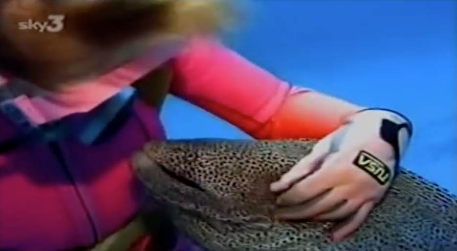 A magical bond with A spotted moray eel
