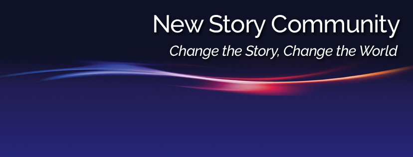 New Story Hub – change the story, change the world