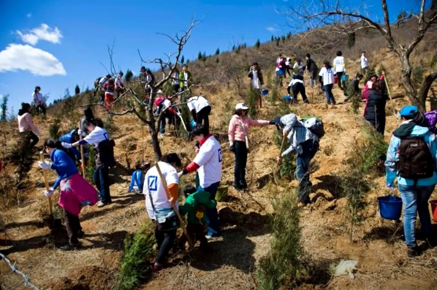 How China Turned the Desert into Green Forests